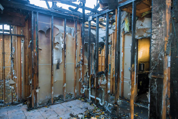 Professional Fire Damage Assessment technician working in Dowagiac, MI